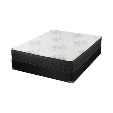 Freya 11.5″ Eastern King Mattress White And Black - 350372KE A-Z Store Nadia
