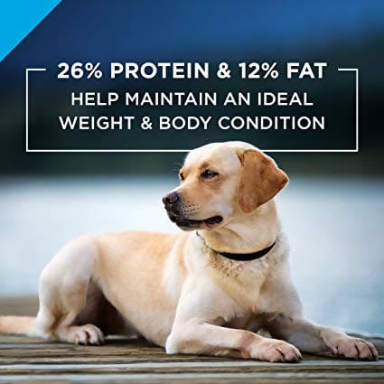 Purina Pro Plan Focus Adult Large Breed Chicken and Rice Dog Food 34lbs - 03810013253 Pie's Variety Store