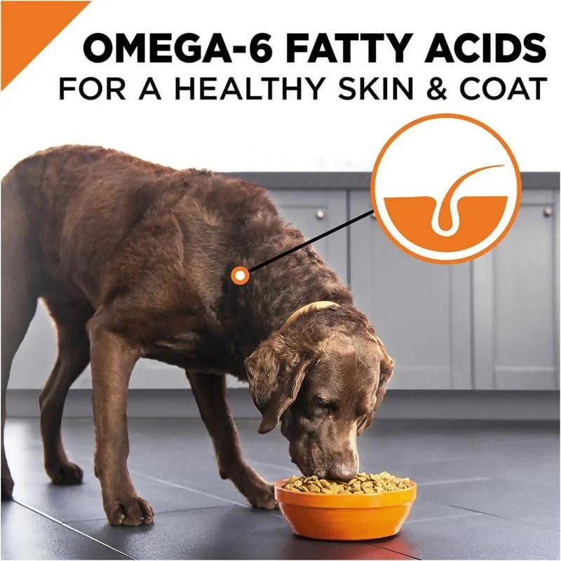 Purina Pro Plan SAVOR Adult Lamb & Vegetables Entrée Slices In Gravy Wet Dog Food - 03810002675 Pie's Variety Store