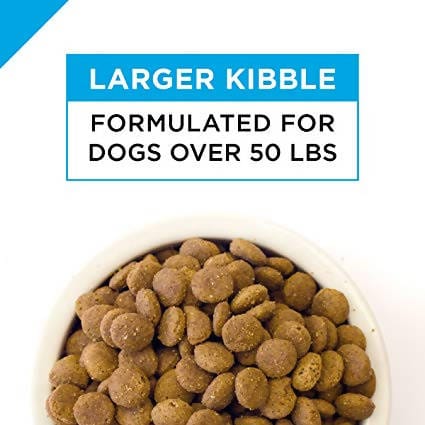 Purina Pro Plan Focus Adult Large Breed Chicken and Rice Dog Food 34lbs - 03810013253 Pie's Variety Store