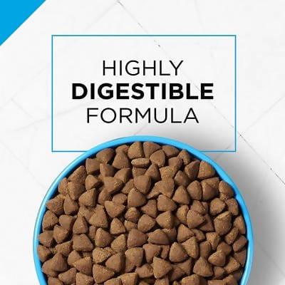 Purina Pro Plan Focus Adult Sensitive Skin & Stomach Salmon & Rice Formula Dry Dog Food 30lbs - 03810017552 Pie's Variety Store