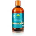 Tree Hut Shea Moisturizing Body Wash Coconut Lime