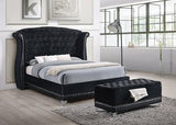 Barzini Eastern King Tufted Upholstered Bed Black - 300643KE A-Z Store Nadia