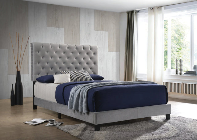 Warner Queen Upholstered Bed Grey - 310042Q A-Z Store Nadia