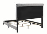 Warner Queen Upholstered Bed Grey - 310042Q A-Z Store Nadia