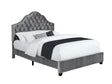 Abbeville Eastern King Upholstered Bed With Arched Headboard Grey - 315891KE A-Z Store Nadia