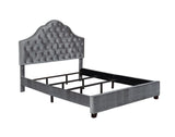 Abbeville Eastern King Upholstered Bed With Arched Headboard Grey - 315891KE A-Z Store Nadia