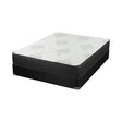 Freya 11.5″ California King Mattress White And Black - 350372KW A-Z Store Nadia