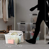 IRIS USA TB Clear Stack & Pull Storage Box
