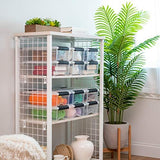 IRIS USA TB Clear Stack & Pull Storage Box
