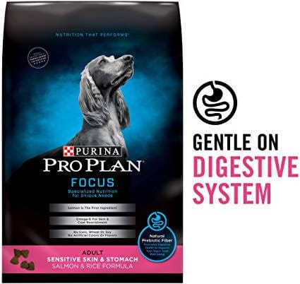 Purina Pro Plan Focus Adult Sensitive Skin & Stomach Salmon & Rice Formula Dry Dog Food 30lbs - 03810017552 Pie's Variety Store