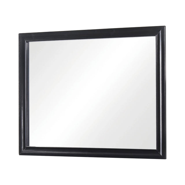 Miranda Rectangular Mirror Black - 206364 Pie's Variety Store