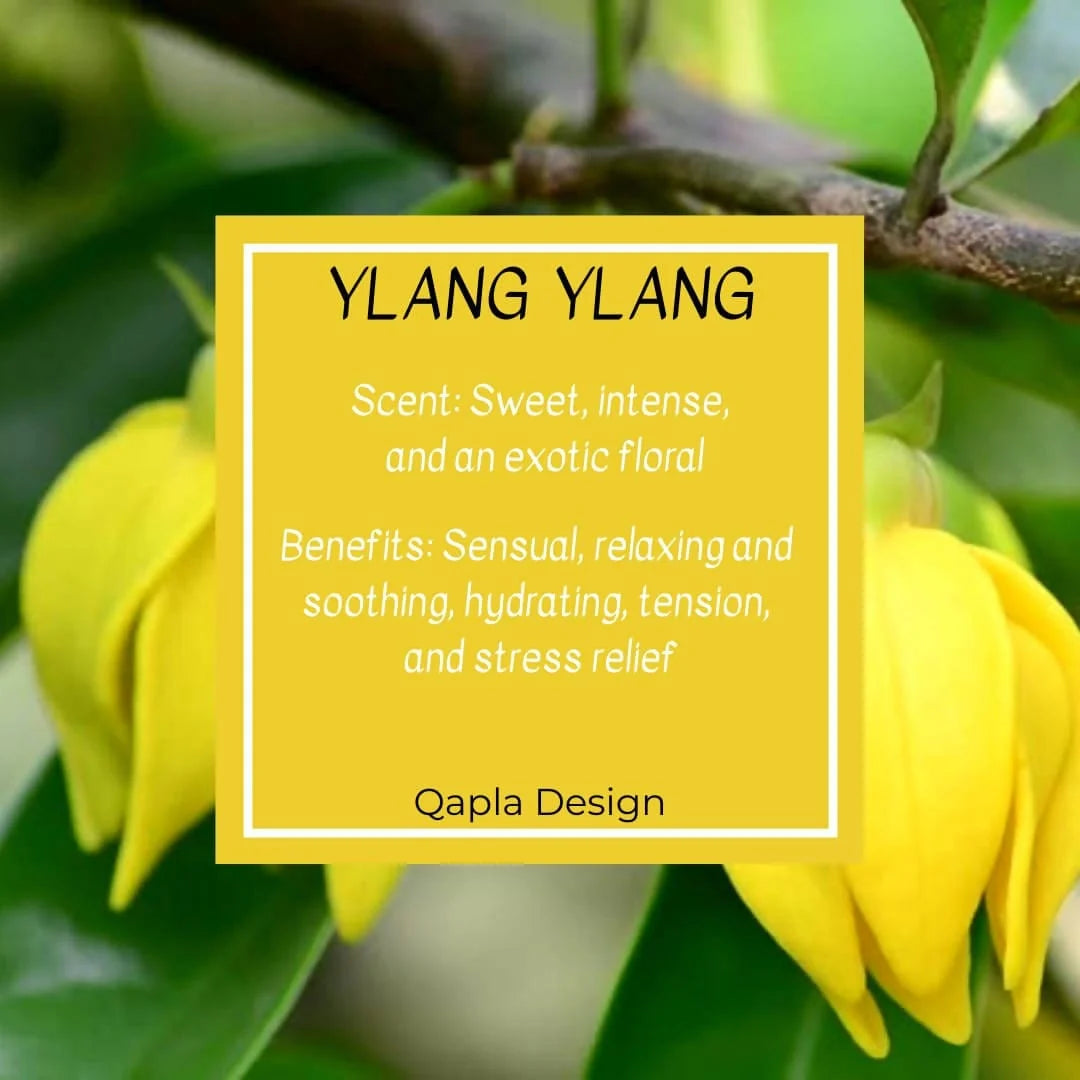  It helps promote calmness and wellness and reduce stress and anxiety 4oz - TTU02 Qapla Design