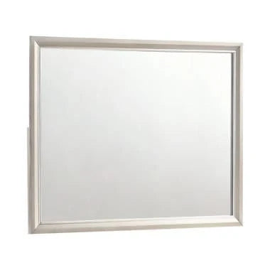 Salford Rectangular Mirror Metallic Sterling - 222724 Pie's Variety Store