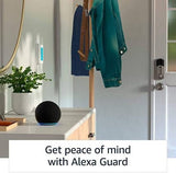 Echo Dot (4th Gen) | Smart speaker with Alexa - ED4GEN Pie's Variety Store