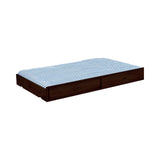 Dublin Storage Trundle Cappuccino - 400324 A-Z Store Nadia