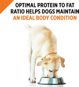 Purina Pro Plan SAVOR Adult Turkey & Vegetables Entrée Slices in Gravy Wet Dog Food - 03810002676 Pie's Variety Store