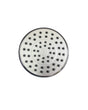 Chrome Rose Shower Head