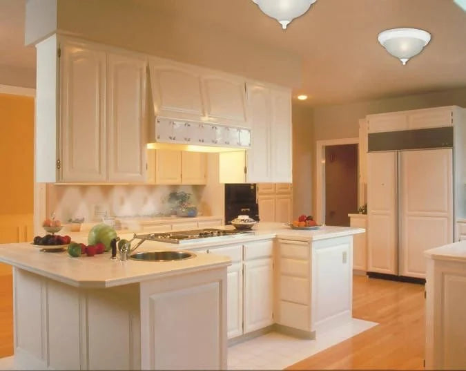 Westinghouse Flush Mount Ceiling Light Fixture-64301 Mega Bulk Buys
