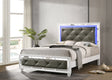 Whitaker Queen Bed With LED Lighting White - 223331Q Pie's Variety Store