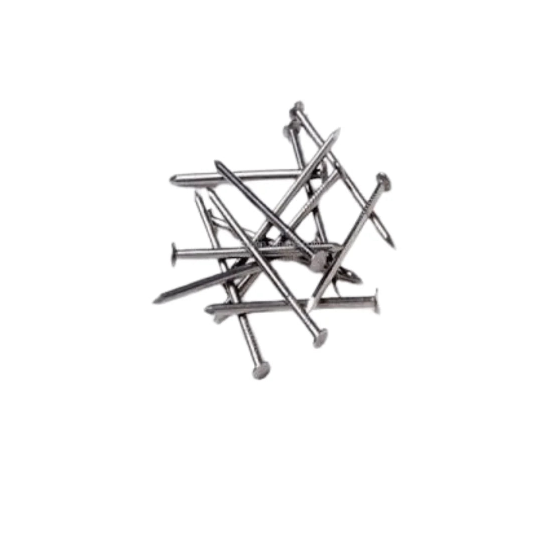 PP Durable Construction Nail EBUYSTT