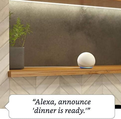 Echo Dot (4th Gen) | Smart speaker with Alexa - ED4GEN Pie's Variety Store