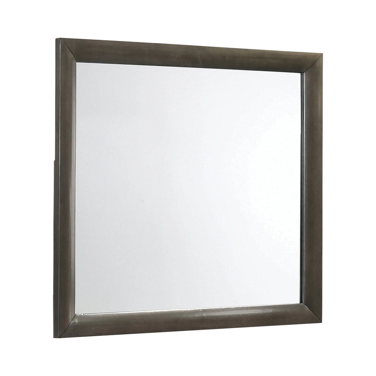Salano Rectangular Mirror Mod Grey - 215884 Pie's Variety Store